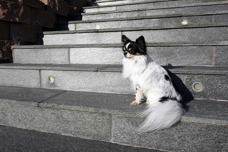 Lys Oppdal Sålebenk 12,5cm pr lm (15-25 mm)