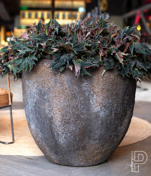 Jesslyn Oyster M Imperial Brown Ø:60 H:52 cm (12.5kg)