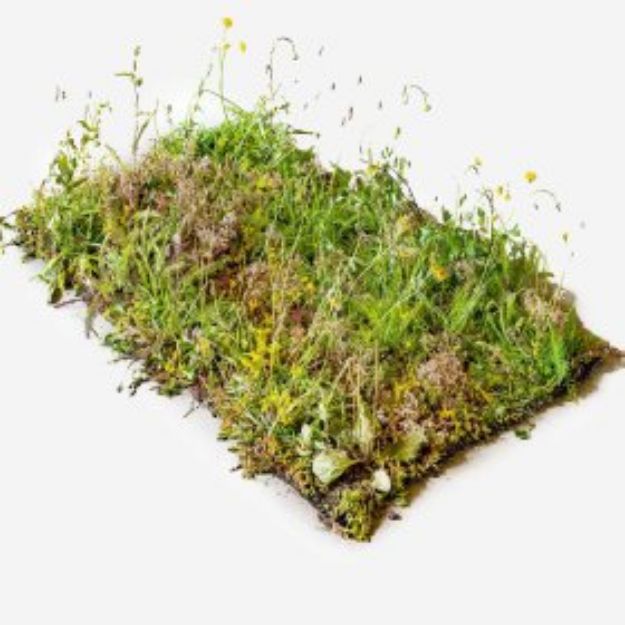 Blomstereng 0,9 m2 per matte