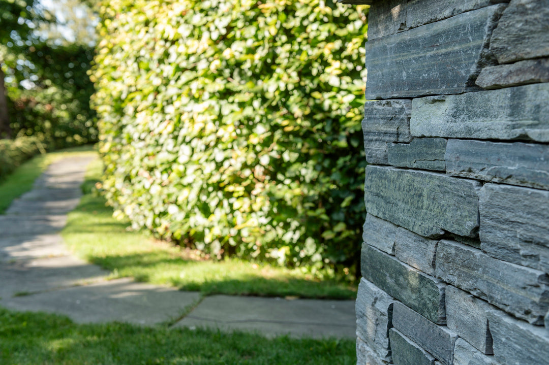 Lys Oppdal Tråkkheller