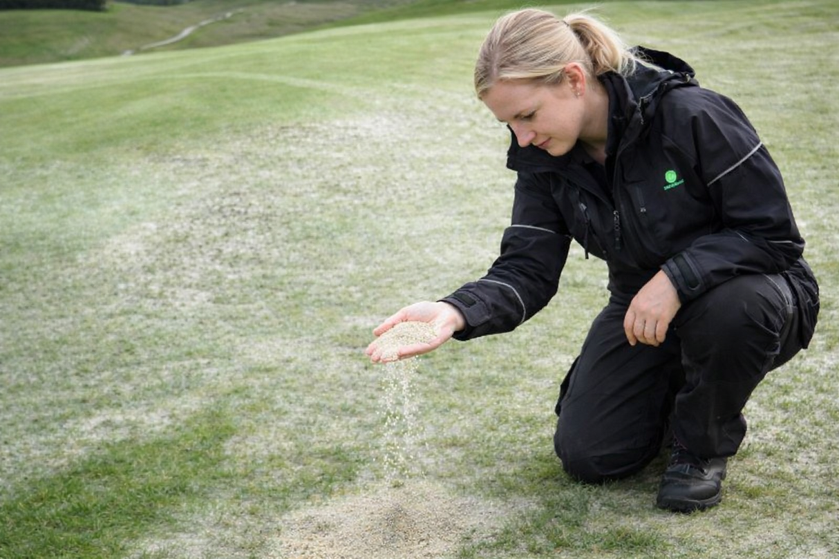 Toppdressing/ Plensand (Bigbag)