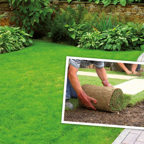 Det er ikke for sent å legge plen