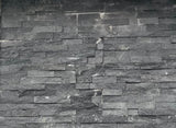 Panelstein Glittertind 15X60CM