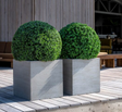 Kunstige Planter Buksbom  XS Ø:40 x H:40 cm (1,2 kg)