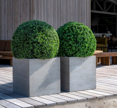 Kunstige Planter Buksbom  XS Ø:40 x H:40 cm (1,2 kg)