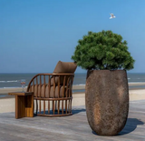 Plantekasser Belon Oyster L Imperial Brown L: Ø 50 H 75 13KG