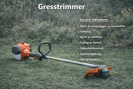 SERVICE