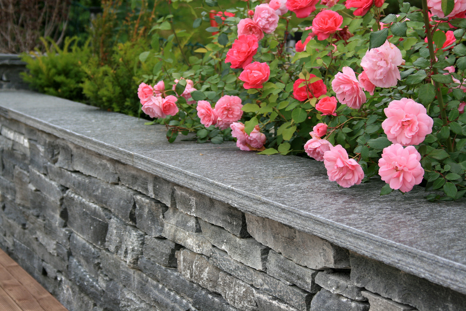 Mørk Oppdal Tørrmur