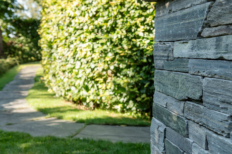 Lys Oppdal Tråkkheller