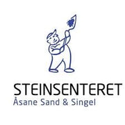 Steinsenteret logo